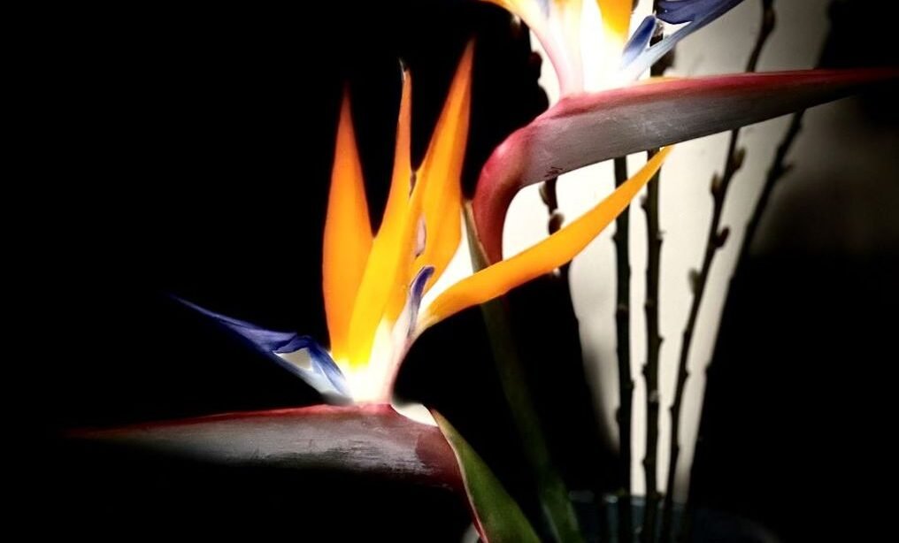 回到當下的修行