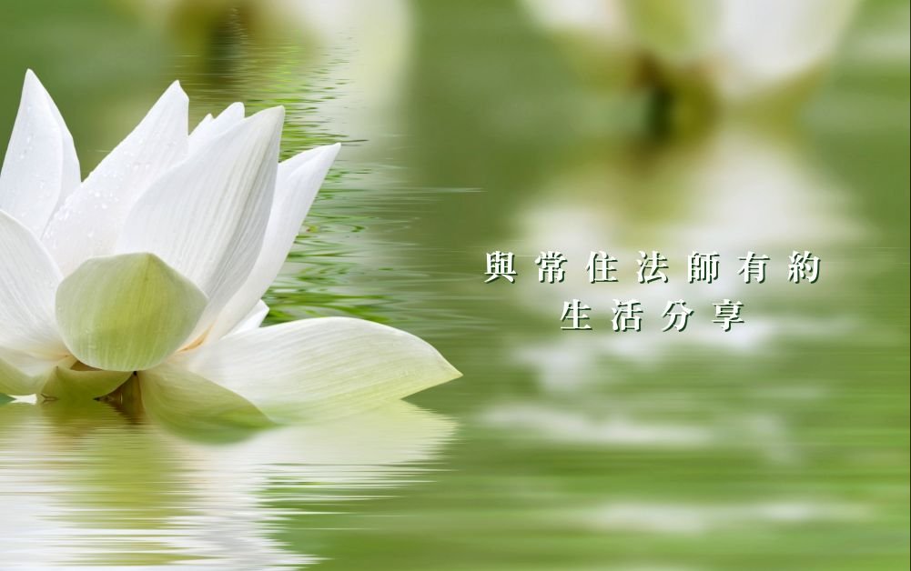 覺知自己的狀態    